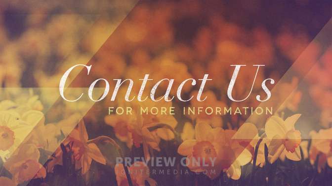 morning flowers - contact us