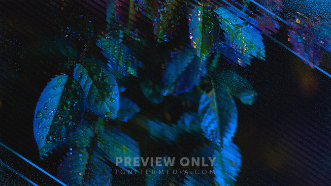 SinglesConference-WIDE#preset=tg_title3.jpg