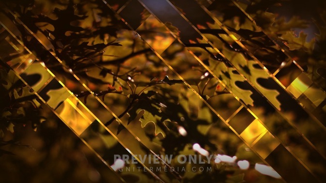 Leaves_and_Glass_16x9.jpg