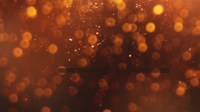 Feliz_Da_de_Gracias_16x9-TITLE-3#preset=tg_title3.jpg