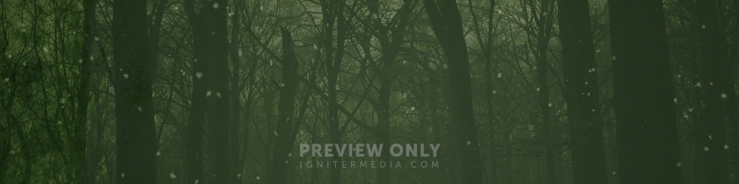 Muted_Christmas_Green_MS_1920x480.jpg