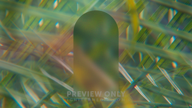 Easter Textures_Easter Texture_WB_03_4K.jpg