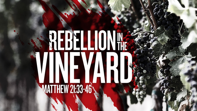 rebellion in the vineyard