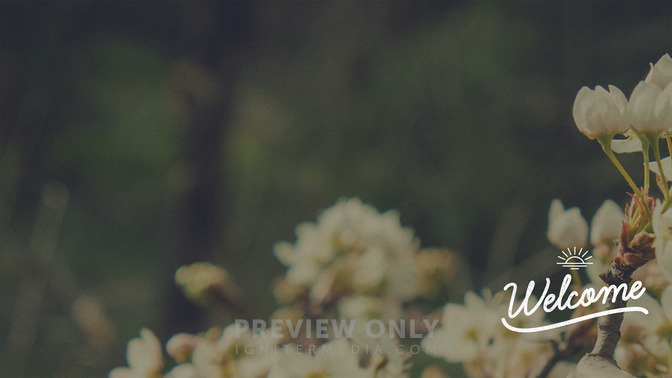 Blossoms_-_Welcome_16x9-CONTENT-2#preset=tg_alt2.jpg