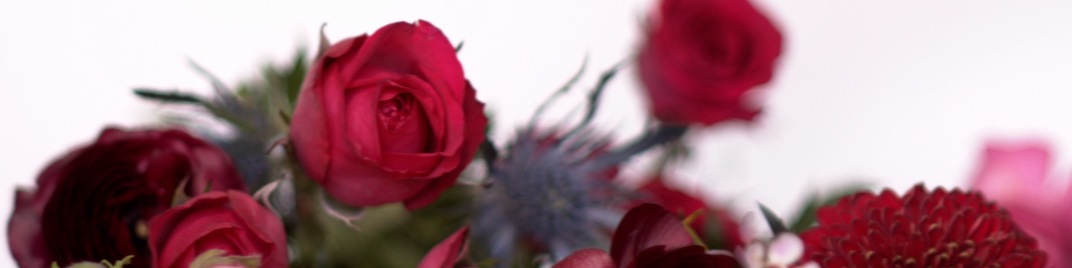 Spring_Floral_Flowers_Pass_UW_SD.jpg