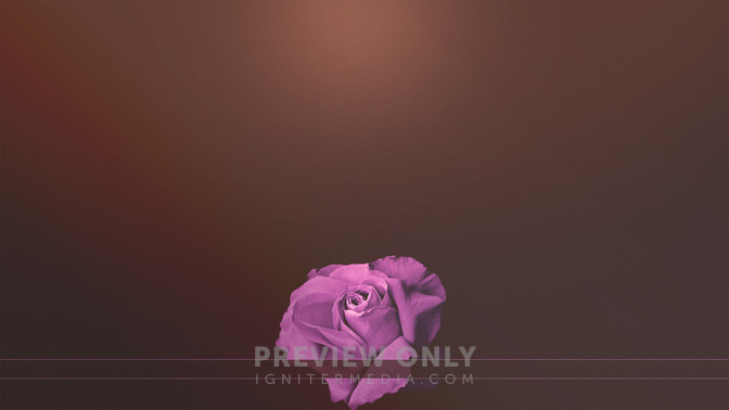 Simple_Flowers-Happy_Mothers_Day_WIDE-CONTENT-3#preset=tg_alt3.jpg
