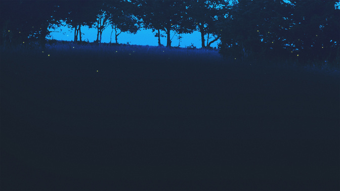 Giving-WIDE#preset=tg_alt2.jpg