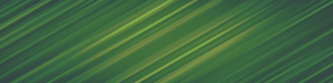 colorful stripes - green