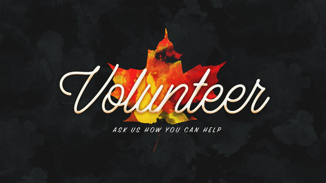 painted leaves - volunteer