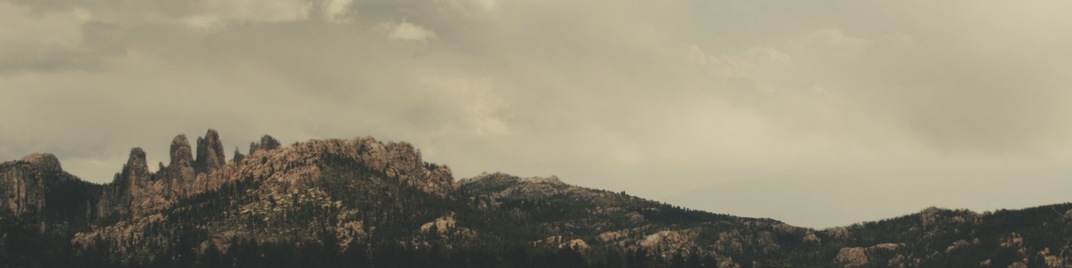 forest mountains