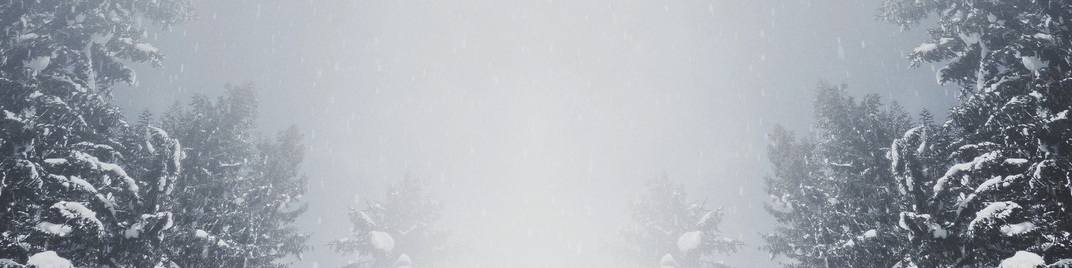 Majestic_Snow_Big_Trees_MS_1920x480.jpg