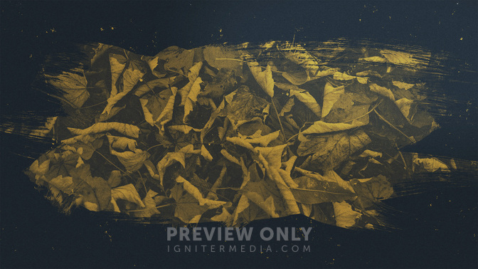 Brushed_Leaves-Happy_Thanksgiving_WIDE-TITLE-3#preset=tg_title3.jpg