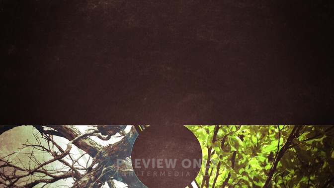 From_Death_to_Life_16x9-CONTENT-3#preset=tg_alt3.jpg