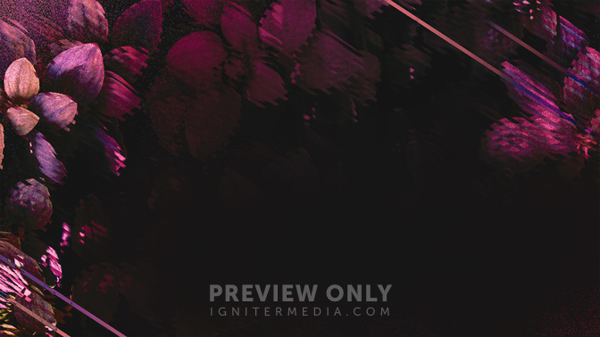 WomensConference-WIDE#preset=tg_alt2.jpg