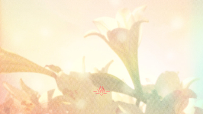 Lilies_-_Thanks_For_Coming_16x9-TITLE-3#preset=tg_title3.jpg