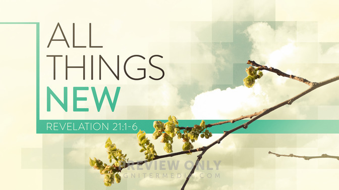 all things new