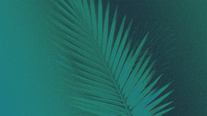Gradient_2_Easter Gradient_TT3_Palm_Sunday_WIDE#preset=tg_title3.jpg