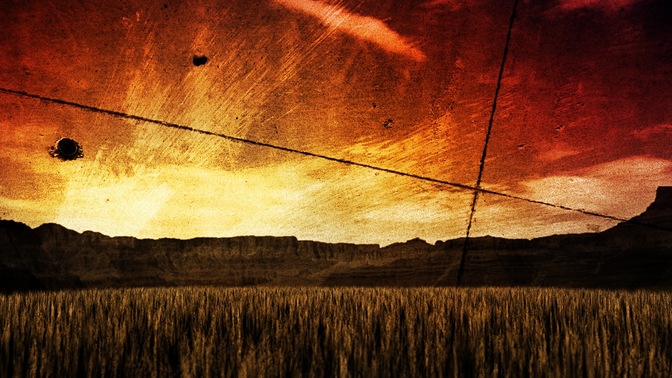 harvest field sunset