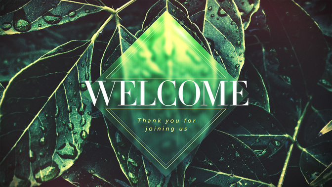 spring dew - welcome