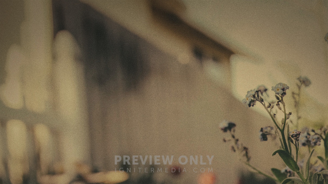 Day_Of_Service_WIDE-CONTENT-3#preset=tg_alt3.jpg