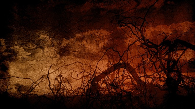 Roots_Dark_Red_16x9.jpg