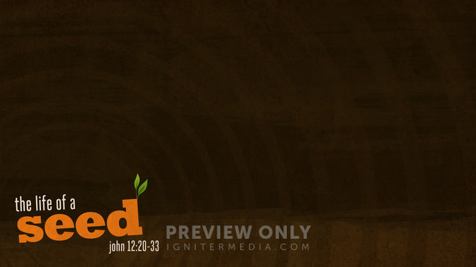 Life_of_a_Seed_16x9-CONTENT-1#preset=tg_alt1.jpg