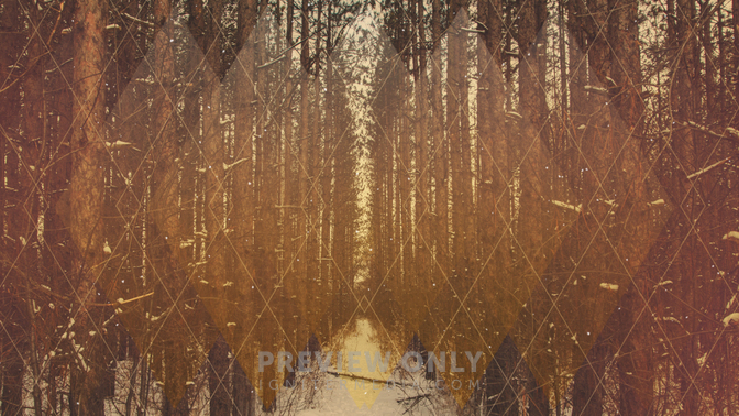 Geometric_Nature_-_Diamonds_Forest_16x9.jpg