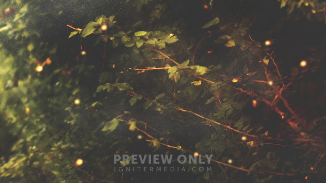 Light_Foilage_HD.jpg
