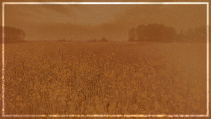 Deborah_16x9-BACKGROUND#preset=tg_bg.jpg