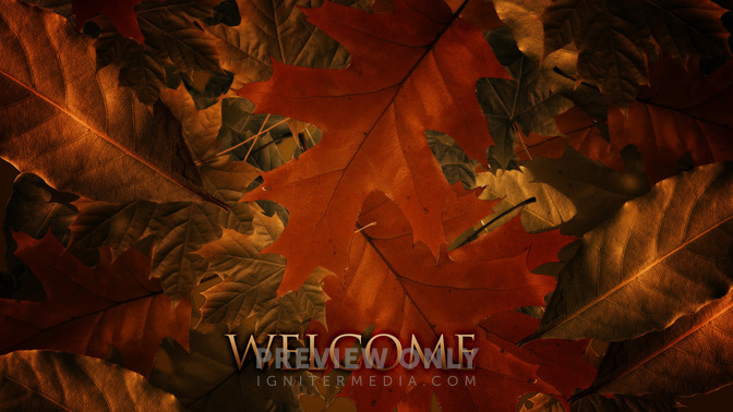 Welcome_16x9-CONTENT-2#preset=tg_alt2.jpg