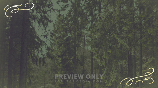 Summer_Camp_16x9-BACKGROUND#preset=tg_bg.jpg