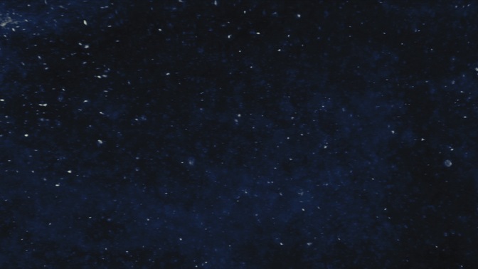 new year sparkle - night