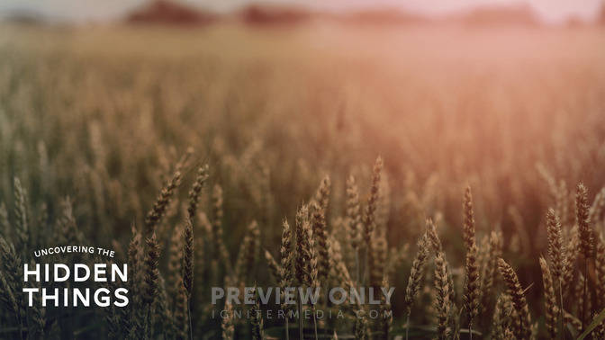 Uncovering_The_Hidden_Things_16x9-CONTENT-2#preset=tg_alt2.jpg