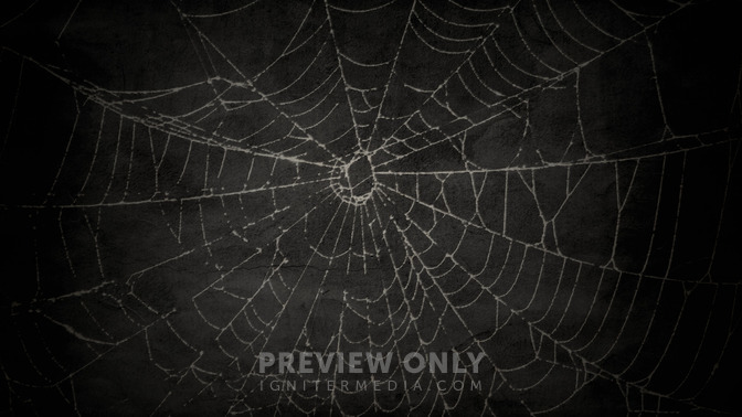 Web_of_Lies_16x9-BACKGROUND#preset=tg_bg.jpg