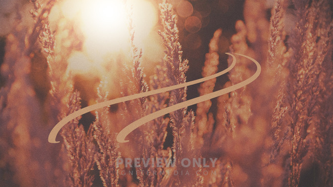 Ruth__Naomi_16x9-TITLE-3#preset=tg_title3.jpg