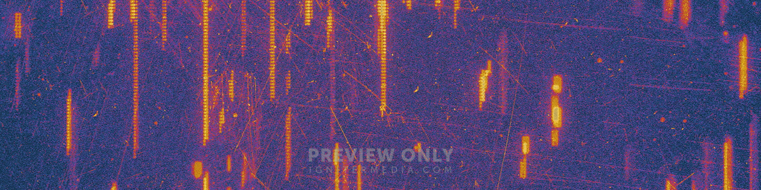 Digital_Dust_WB_1_UW_SD.jpg