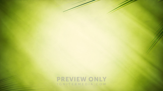 Palm_Sunday_Service_16x9-BACKGROUND#preset=tg_bg.jpg