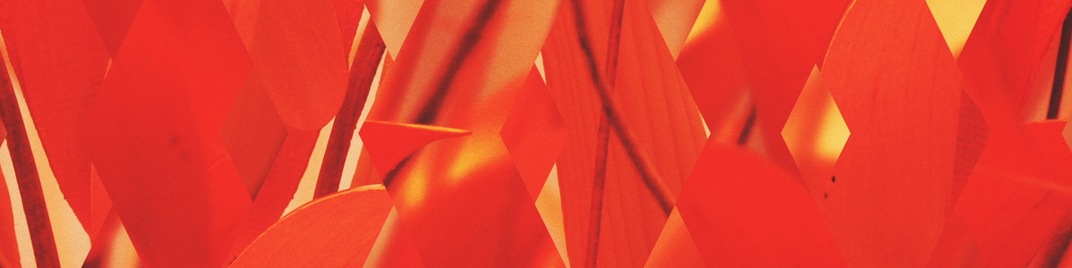 spring shift - red full