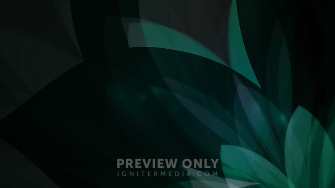 Elegant_Leaves_-_Tithes__Offering_16x9-BACKGROUND#preset=tg_bg.jpg