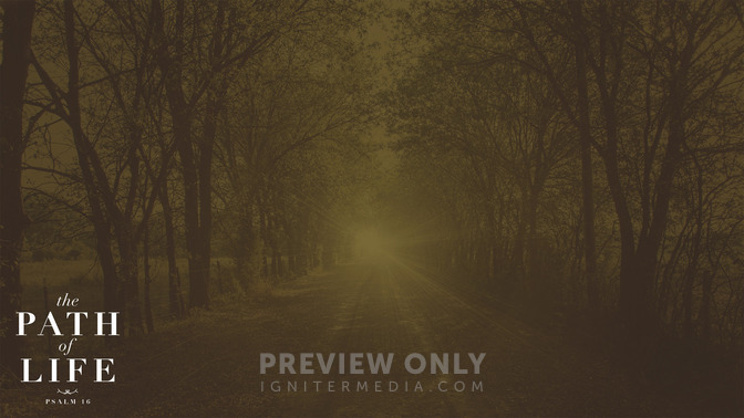 The_Path_of_Life_16x9-CONTENT-1#preset=tg_alt1.jpg