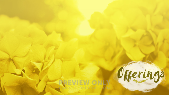Flower_Fields-Offerings_WIDE-CONTENT-2#preset=tg_alt2.jpg