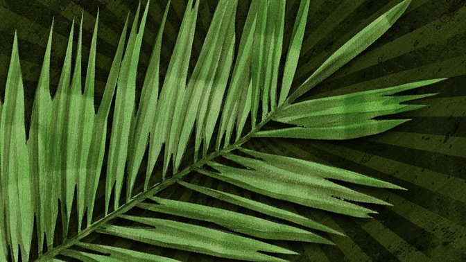 Palm_Branch_16x9.jpg