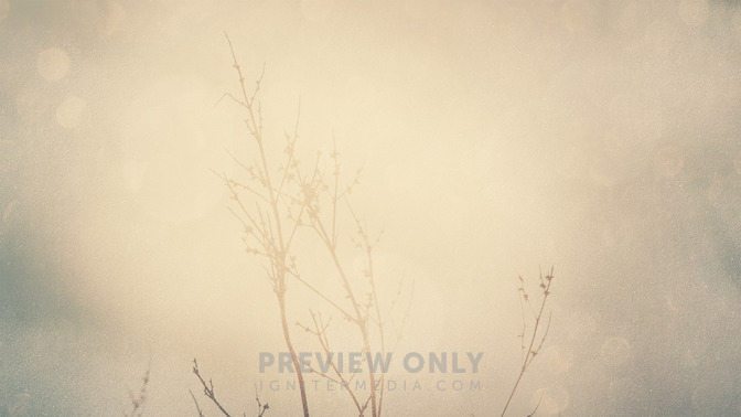 Lord__Messiah_16x9-BACKGROUND#preset=tg_bg.jpg