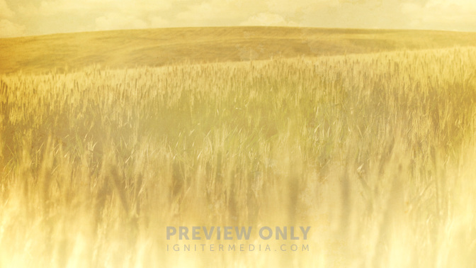 Grassy_Meadow-God_Bless_WIDE-BACKGROUND#preset=tg_bg.jpg