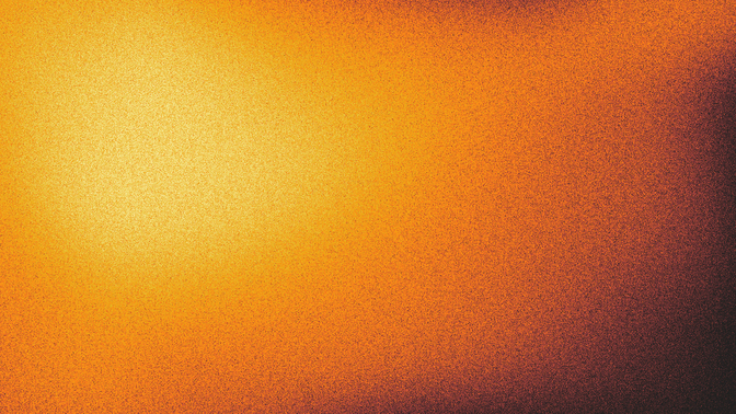 salt + light - 3