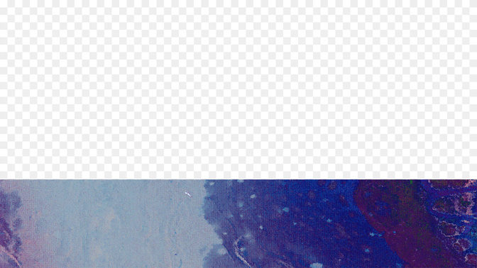 Ash-Wed-WIDE#preset=tg_transparent_png_preview.jpg