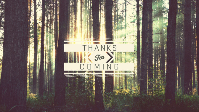 forest - thanks