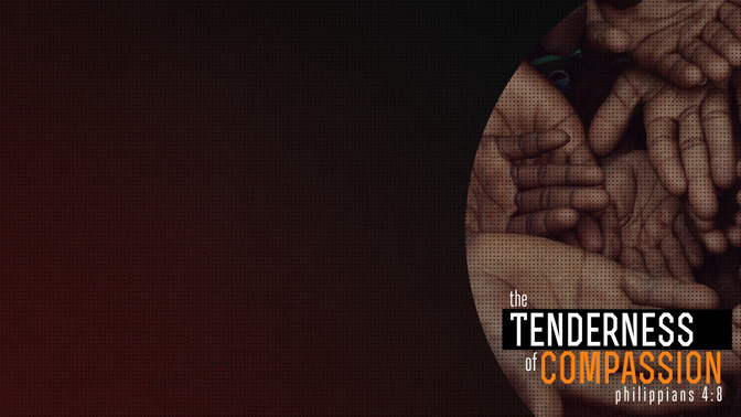 The_Tenderness_of_Compassion_16x9-CONTENT-1#preset=tg_alt1.jpg