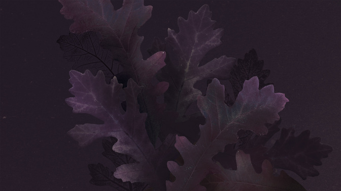 Autumn Nature_TT3_Autumn_Nature-Events_WIDE#preset=tg_title3.jpg