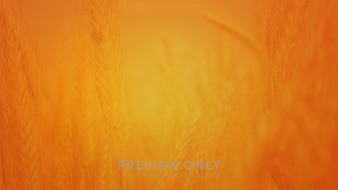 Thanksgiving_16x9-BACKGROUND#preset=tg_bg.jpg